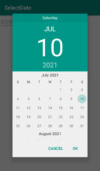 DatePicker calendar 
