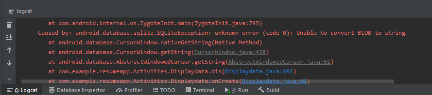 SQLiteException : unable to convert BLOB to string