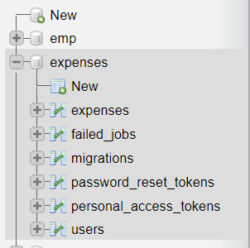 Migrate Database in Laravel